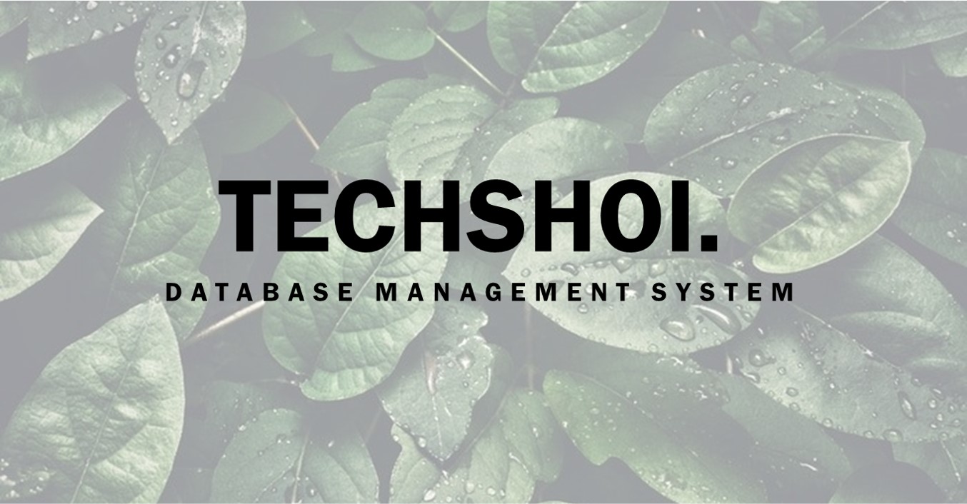 TechShoi Database Management Application